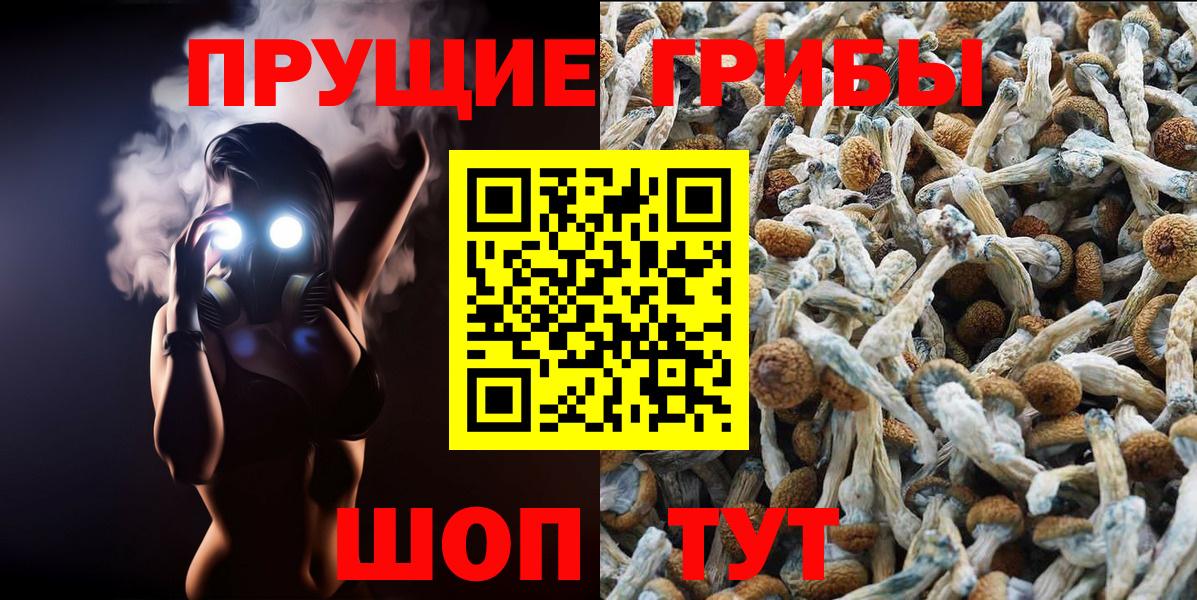 Галлюциногенные грибы мицелий Мирный