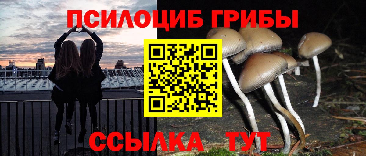 Галлюциногенные грибы прущие грибы  Вход с VPN  Мирный  Псилоцибиновые грибы Psilocybine cubensis 